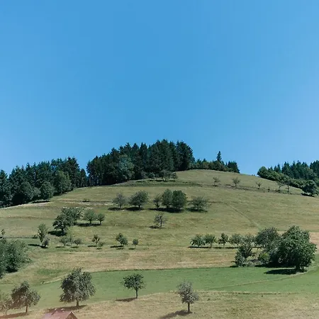 Rustikale 2 Zi.-fewo 70 Qm Barrierefrei Naehe Freiburg アパート シモンスヴァルト
