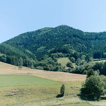 Rustikale 2 Zi.-fewo 70 Qm Barrierefrei Naehe Freiburg アパート